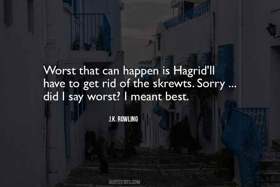 Quotes About Hagrid #936359