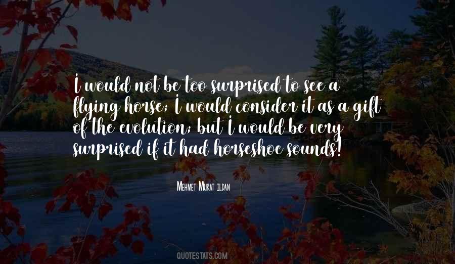 Bronwyn Bruntley Quotes #1020296
