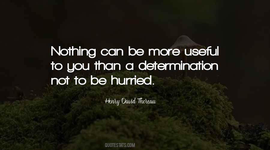 Ferrarini Quotes #537197