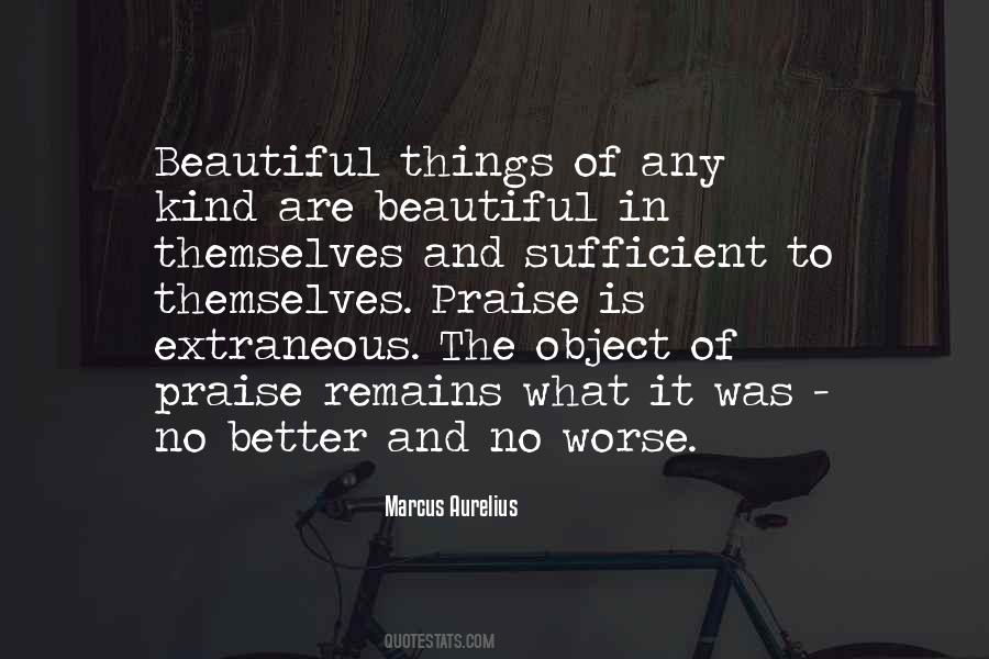 What Is Beautiful Quotes #65763