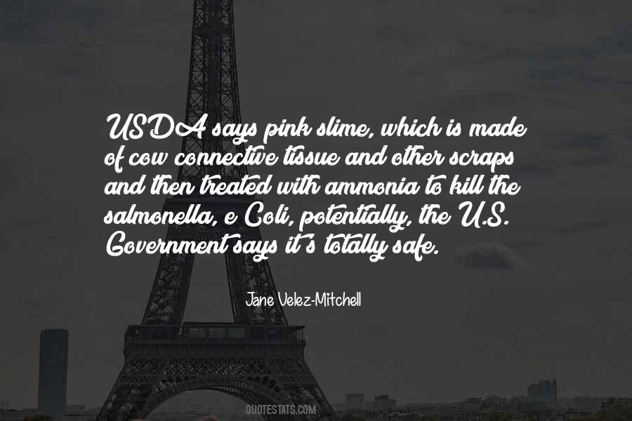 Government Safe Quotes #505241