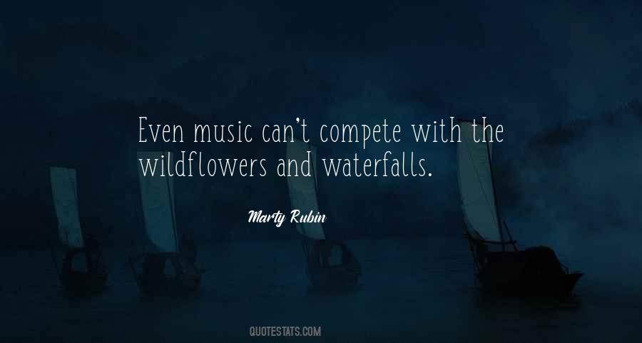 Quotes About The Waterfalls #1080368