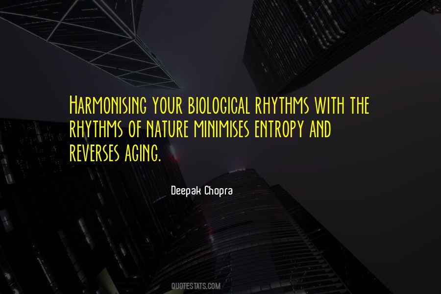 Quotes About Entropy #582082