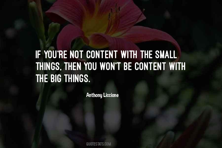 Quotes About The Small Things #1412081