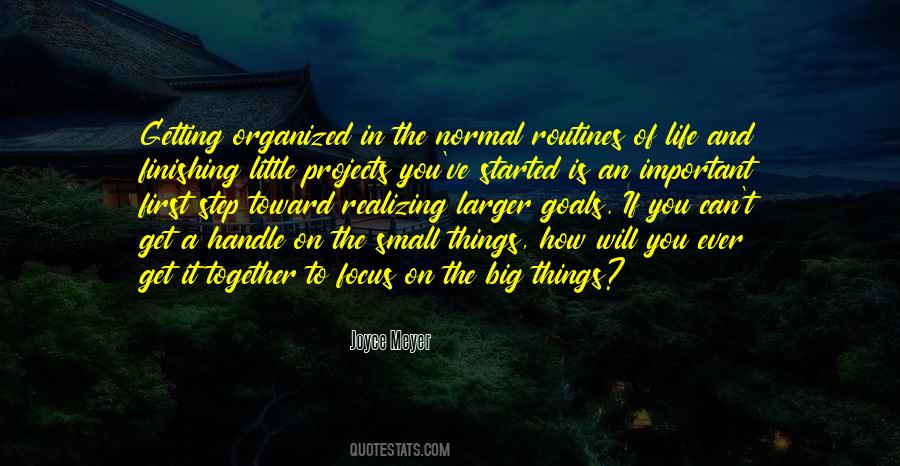 Quotes About The Small Things #1624264