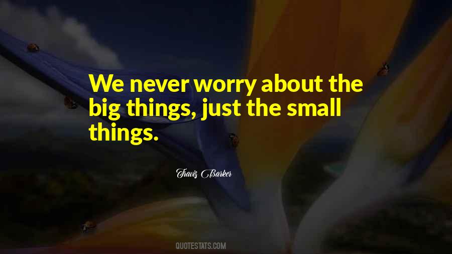 Quotes About The Small Things #623030