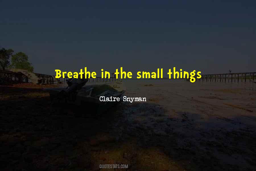 Quotes About The Small Things #660496