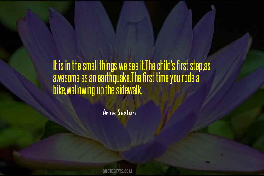 Quotes About The Small Things #697116