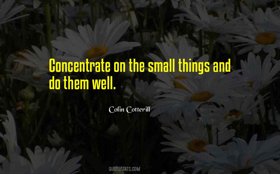 Quotes About The Small Things #721164