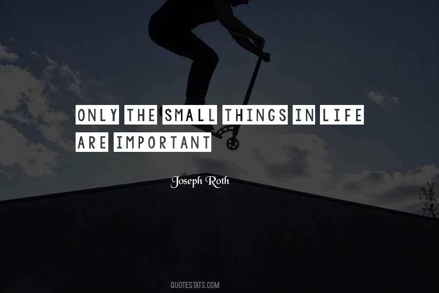 Quotes About The Small Things #895381