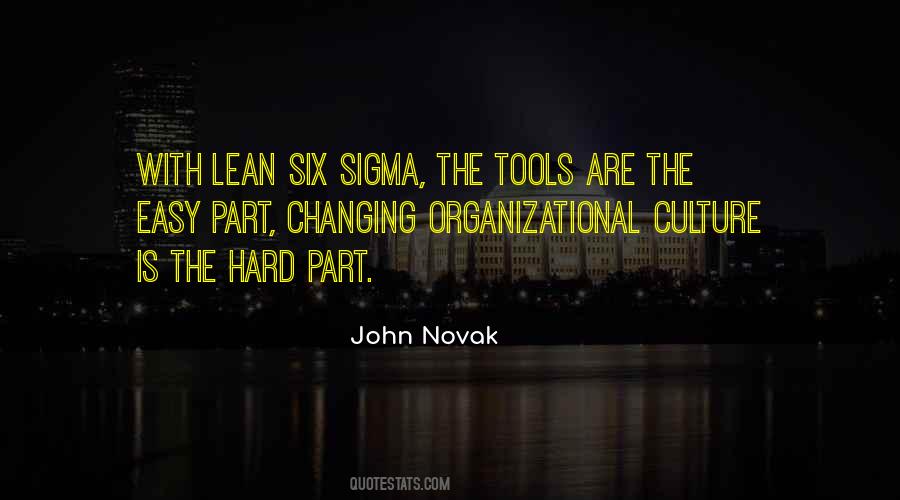 Quotes About Lean Six Sigma #1040244