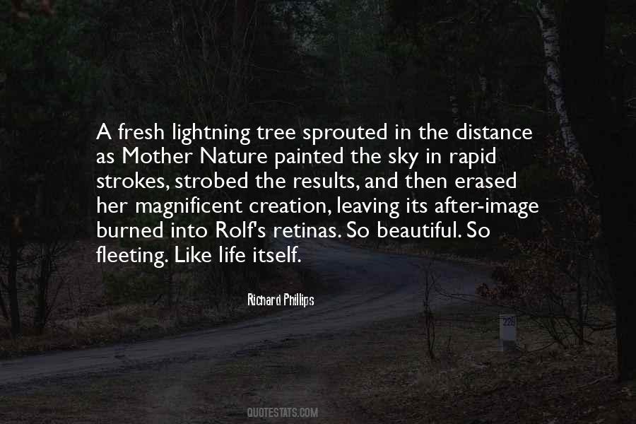 Quotes About Life And Mother Nature #580011