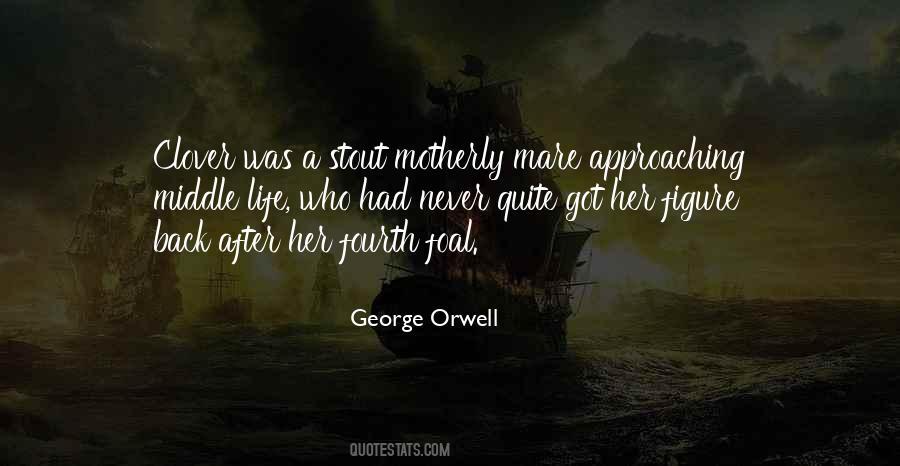 Approaching Life Quotes #89272