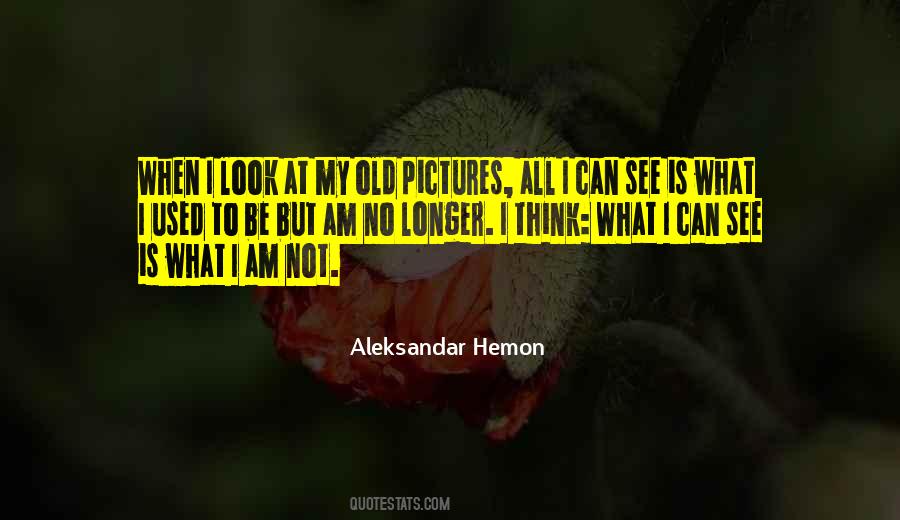 Quotes About Old Pictures #139752