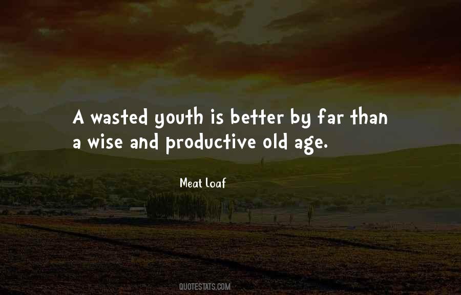 Quotes About Wasted Youth #347628