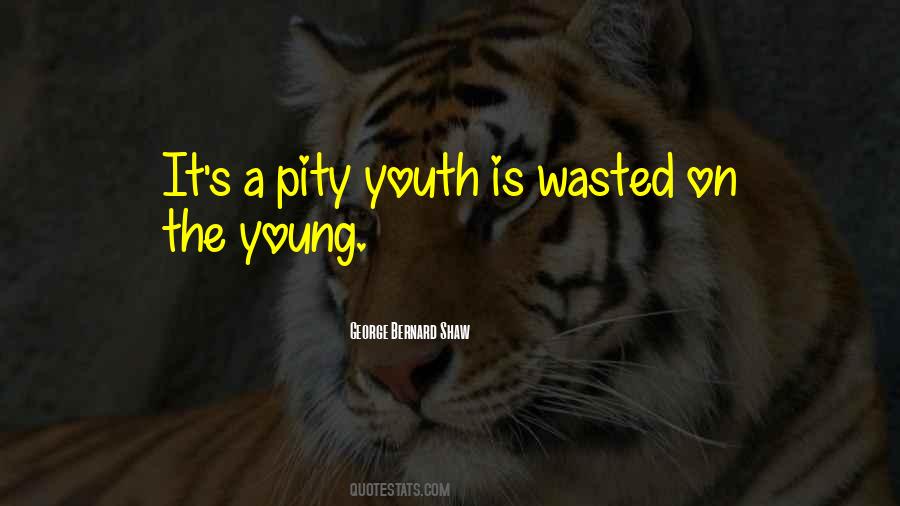 Quotes About Wasted Youth #95983