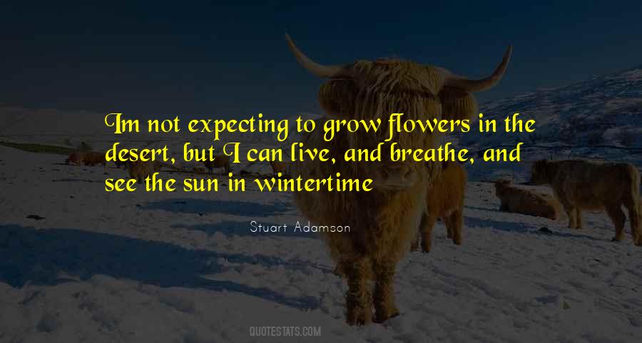 Desert Sun Quotes #182864