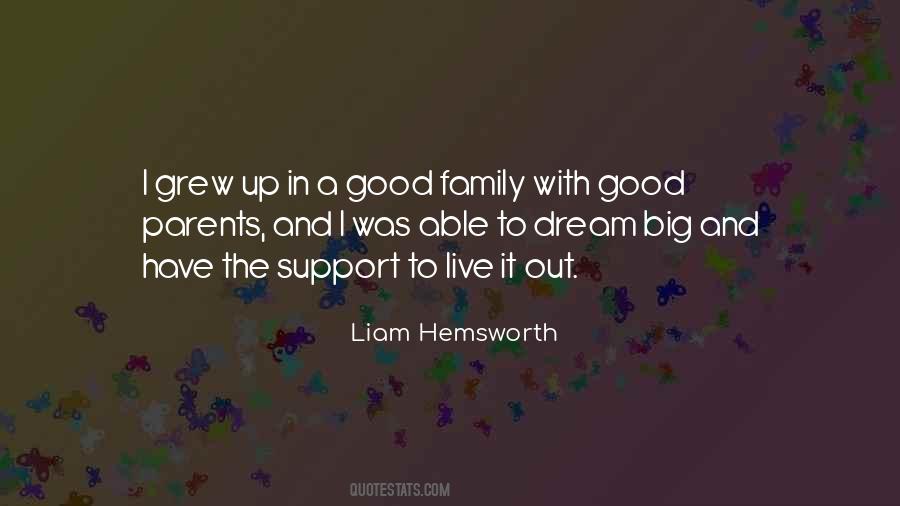 Quotes About No Family Support #279592