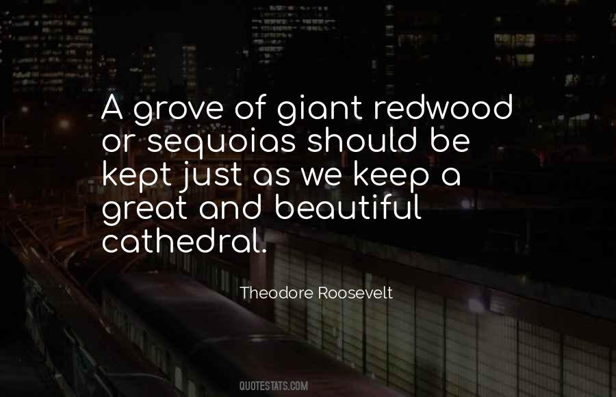 Quotes About The Grove #124081