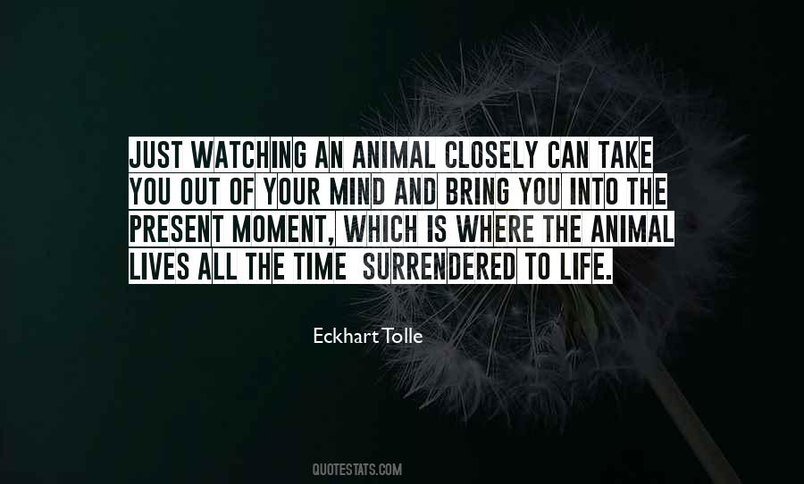Quotes About The Time Of Your Life #211398 Quotes About The Time Of Your Life #211398
