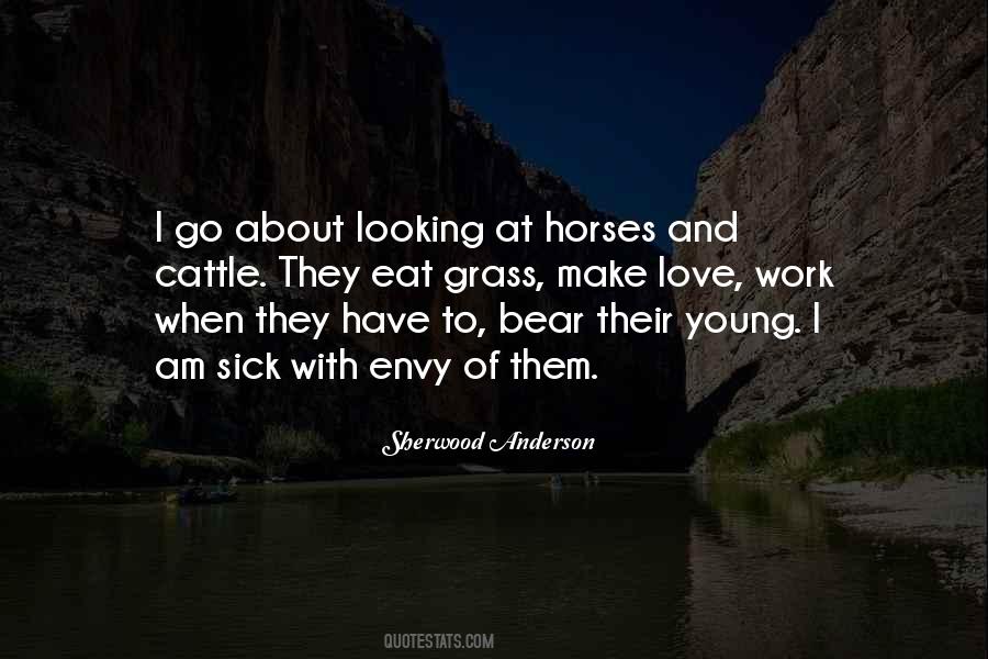 Love Of Horses Quotes #166162