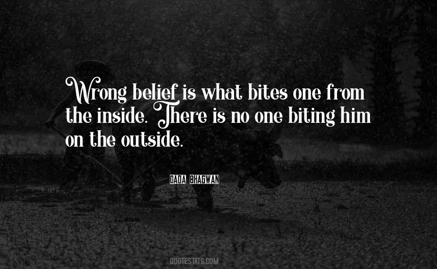 Wrong Belief Quotes #1165828