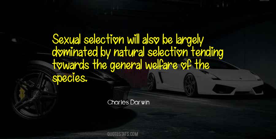 Quotes About General Welfare #669567