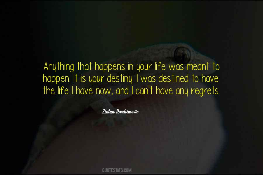 Quotes About Destiny In Life #52514