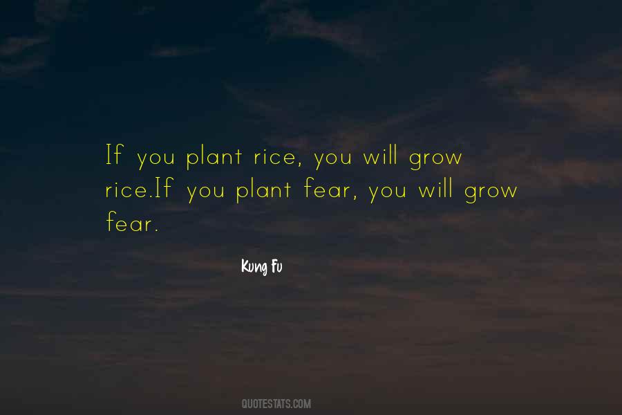 Quotes About Rice #1247523