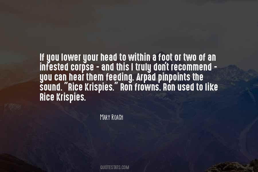 Quotes About Rice #971332