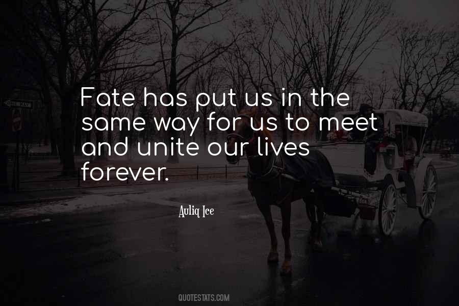 Fate Forever Quotes #410446
