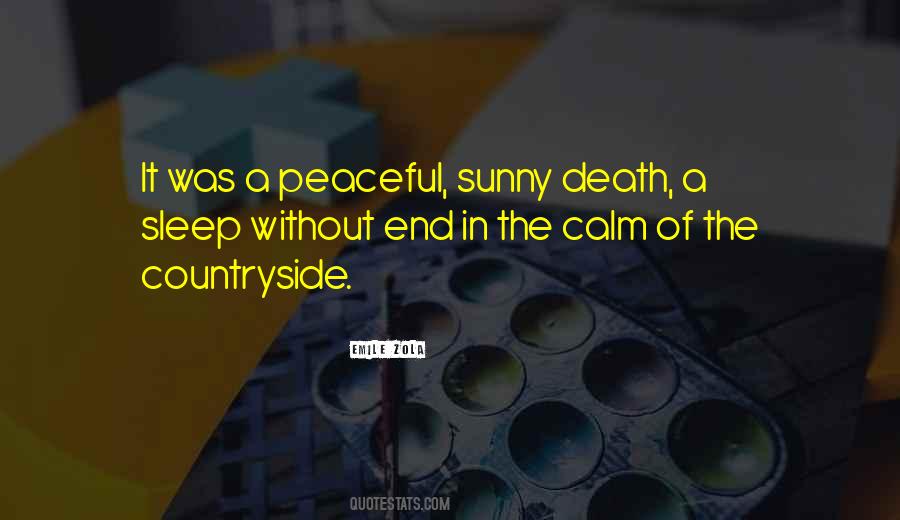 Sleep Death Quotes #135643