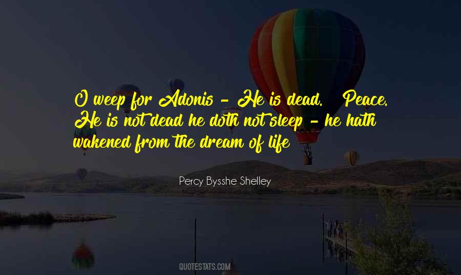 Sleep Death Quotes #21253