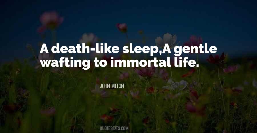 Sleep Death Quotes #48398