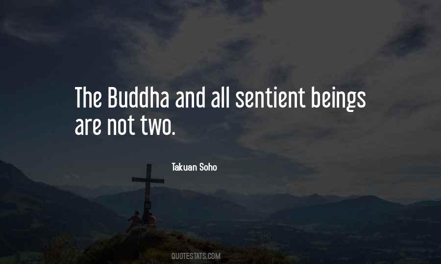 Non Sentient Quotes #44319