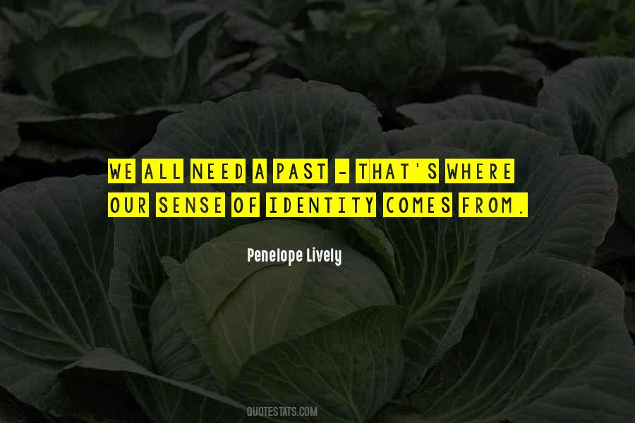 Sense Of Identity Quotes #1842829