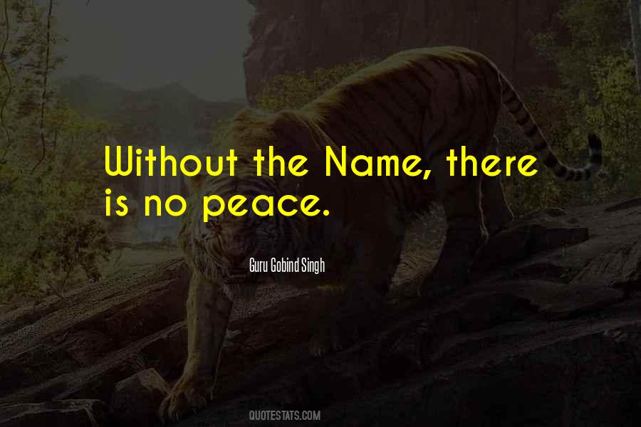 There Is No Peace Quotes #621542