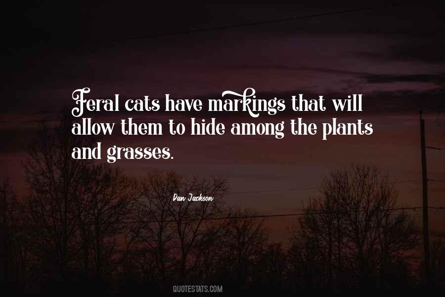 Quotes About Feral Cats #279504