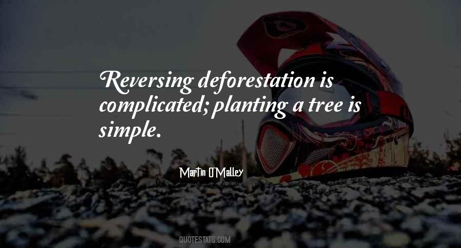 Quotes About Tree Planting #952908