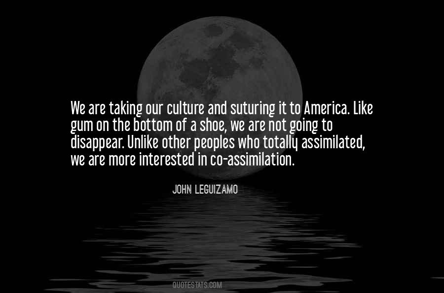 Quotes About Assimilation #139221