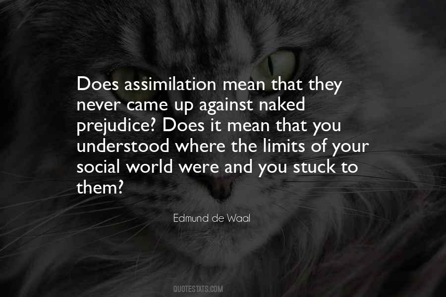 Quotes About Assimilation #583011