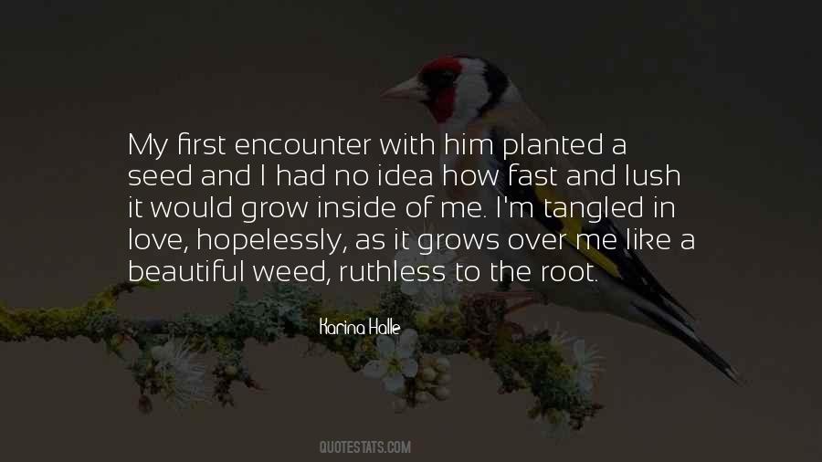 Love Planted Quotes #838184