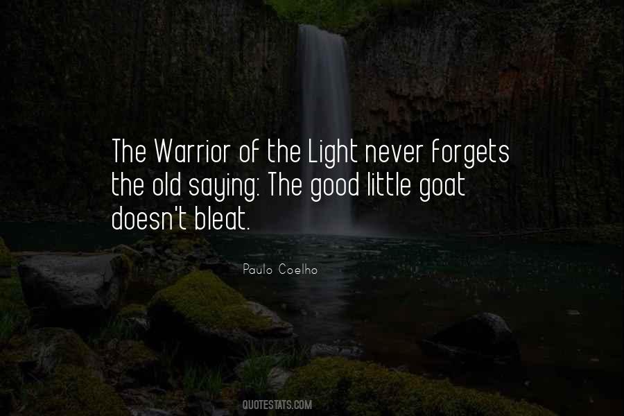 Light Warrior Quotes #741622