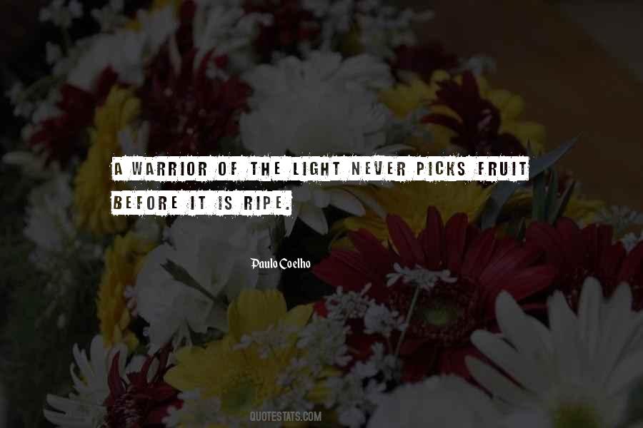 Light Warrior Quotes #755532