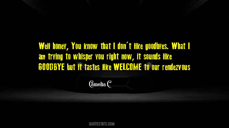 Quotes About Goodbyes #1692076