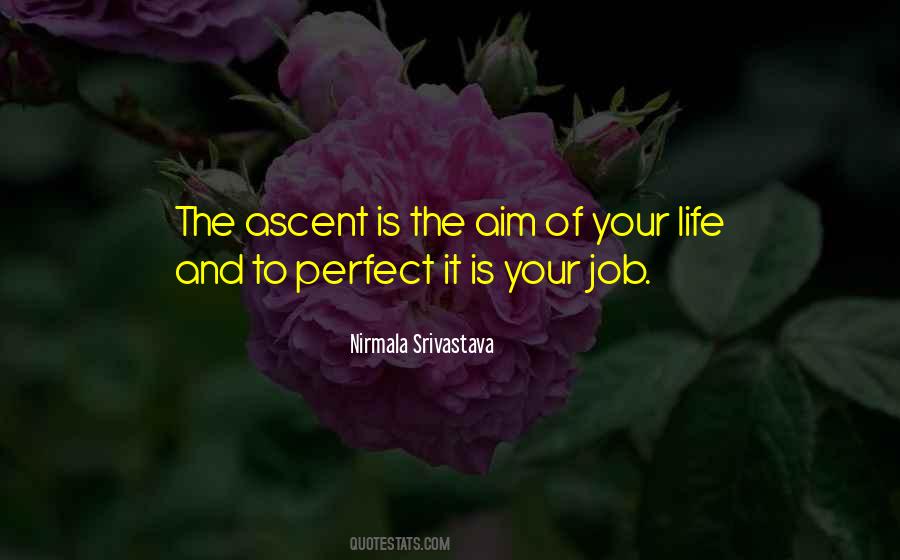 Quotes About The Perfect Job #1029991