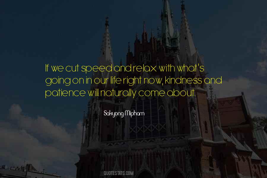 Quotes About Speed And Life #1096975