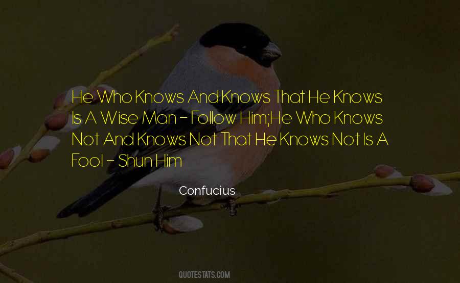 Quotes About Fool And Wise #662853