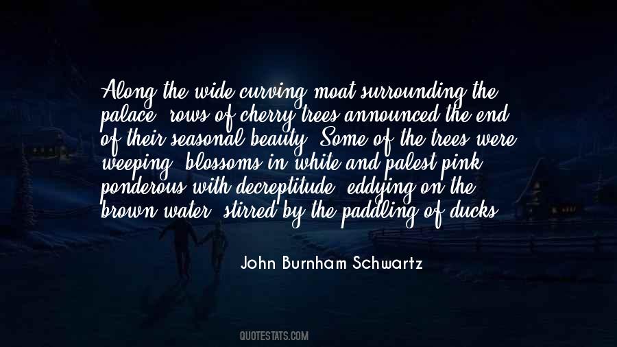 Quotes About Rows #647209