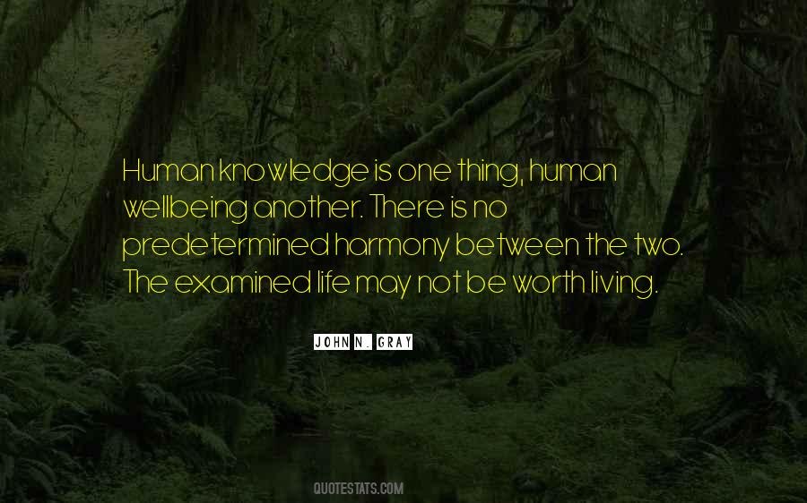 Quotes About The Worth Of Human Life #500777